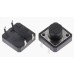 TACT SWITCH 12x12x9MM.